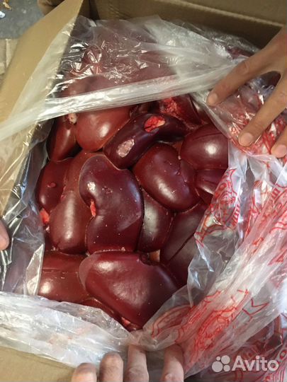 Свинина разделка и субпродукты