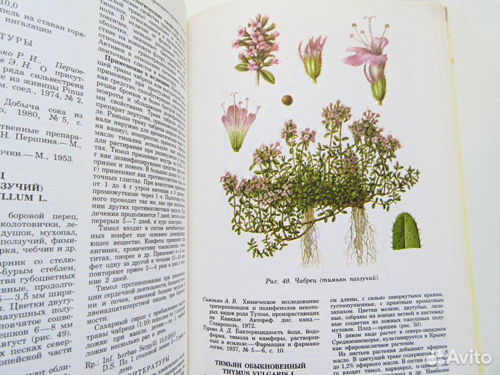 Лекарственные растения СССР