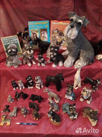 Коллекция шнауцеров ризен, миттель, цверг