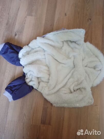 Одежда для средних собак