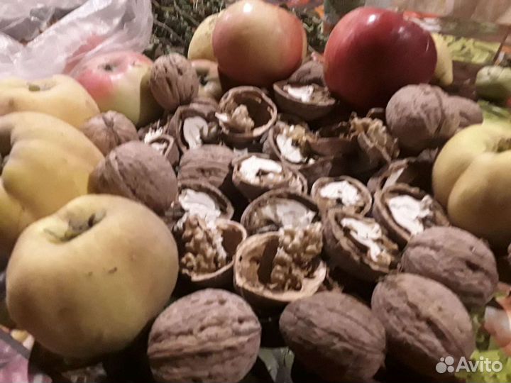 Орех грецкий