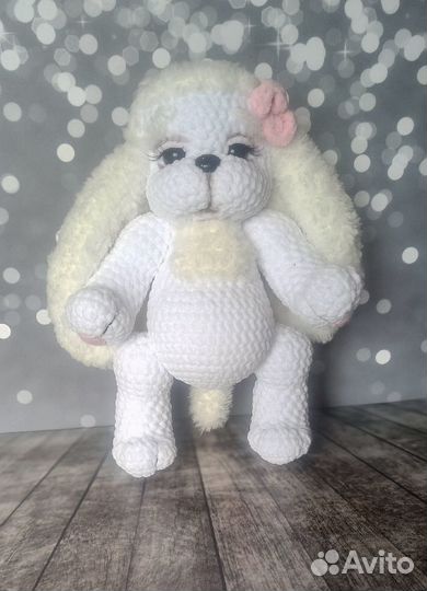 Собачка Леди