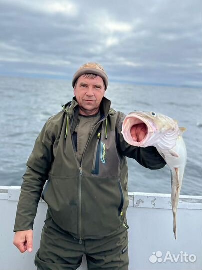 Рыбалка / Треска / Горбуша