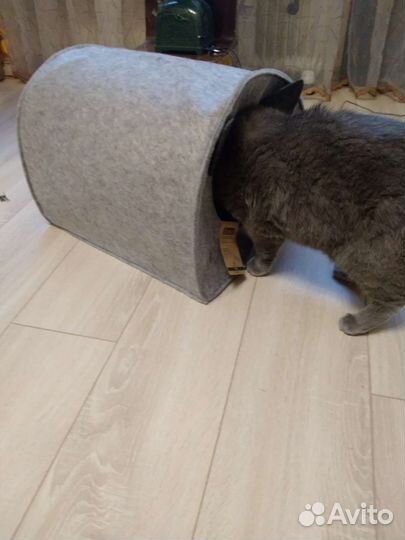 Домик для кошки