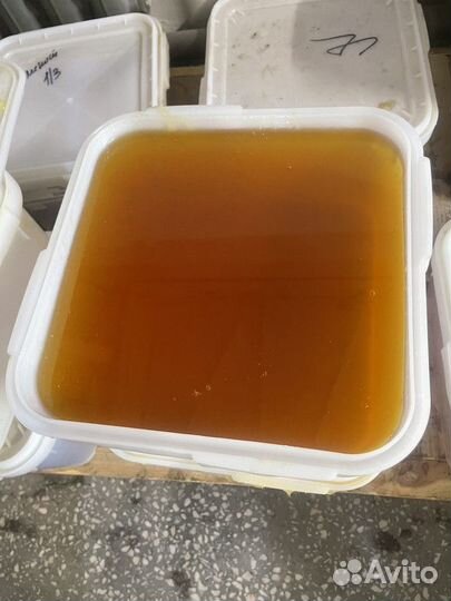 Цветочный свежий натуральный мёд 2023 г. опт