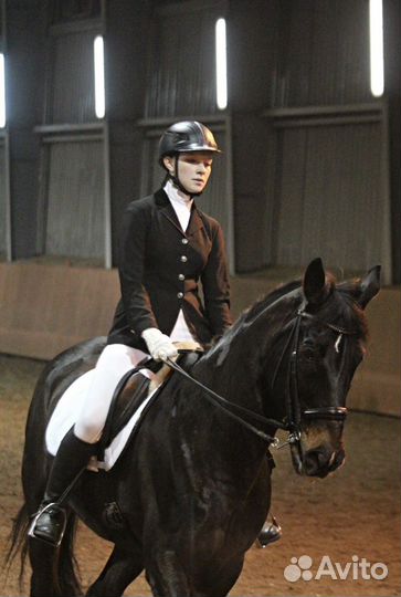 Штаны для конного спорта 38 размер