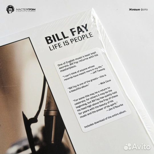 Виниловая пластинка Bill Fay LP