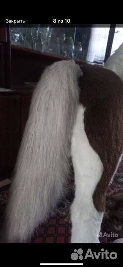 Интерактивная пони