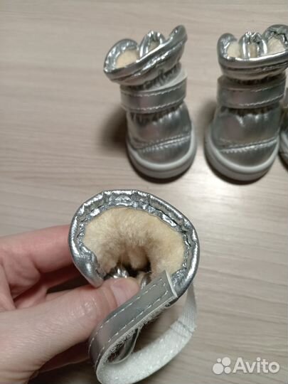 Сапоги зимние для собачки