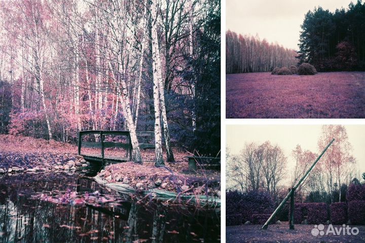 Свадебные фотосессии