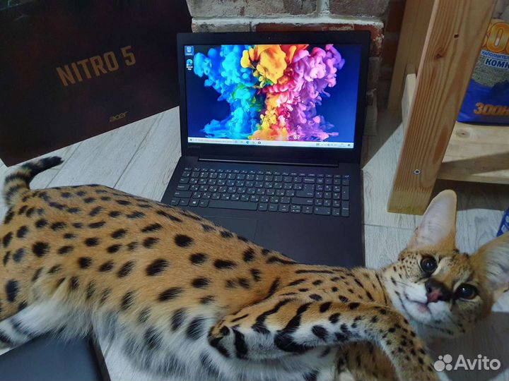 Мегамощный для Всего