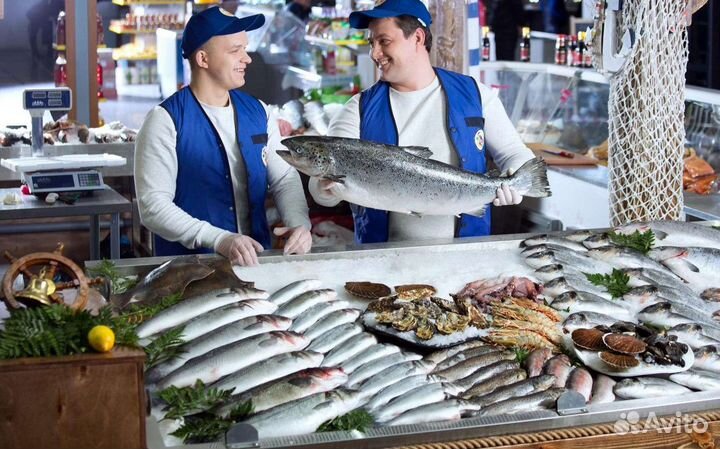 Магазин свежей рыбы и морепродуктов с доходом