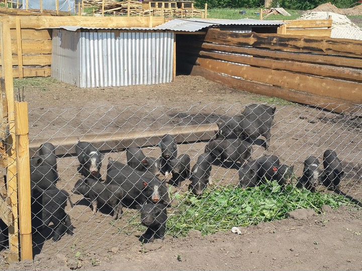 Участок 14,63 га (СНТ, ДНП)