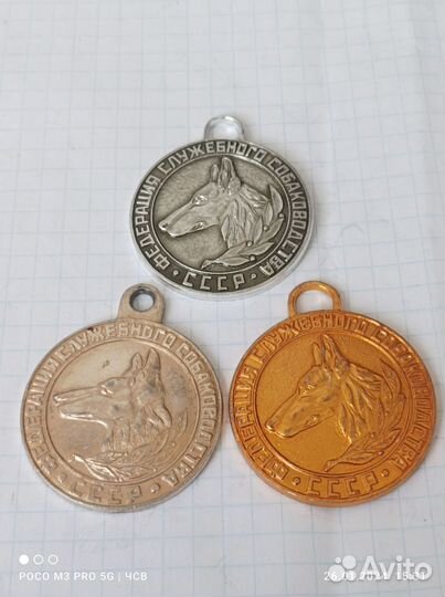 Медальки собачки
