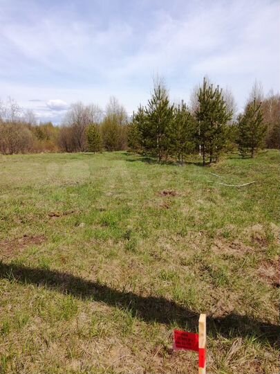 Участок 12,6 сот. (ИЖС)