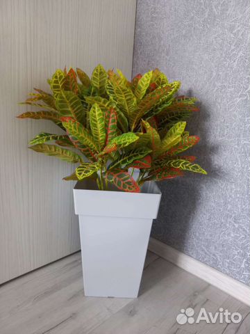 Кротон искусственный