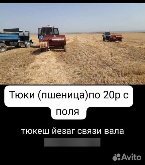 Солома в тюках