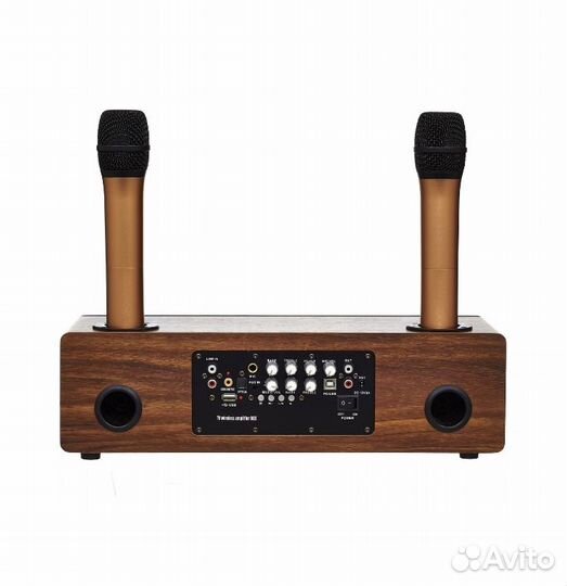 Караоке-система Mojo Pro 2 радио микрофона, 120 Вт