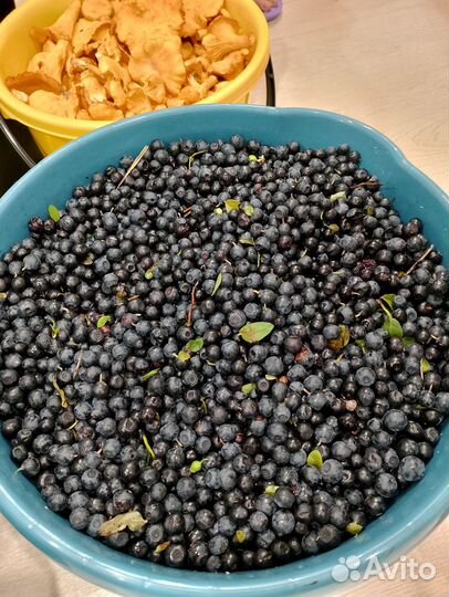 Черника свежая ягода