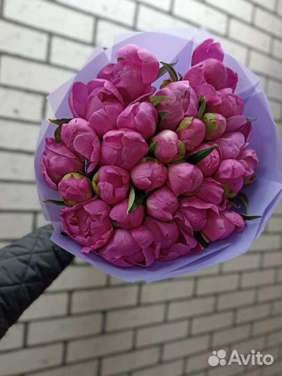 Пионы свежие с доставкой быстро рядом качественно