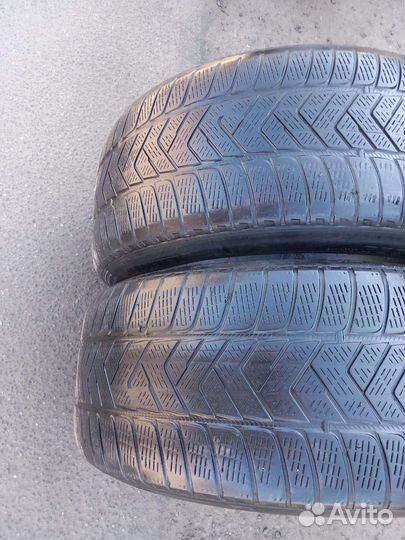 Pirelli Scorpion Winter 255/50 R19 107V