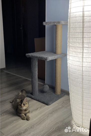 Домик когтеточка