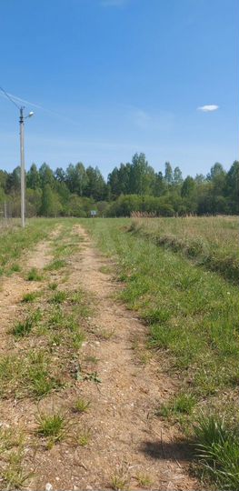 Участок 10 сот. (ИЖС)