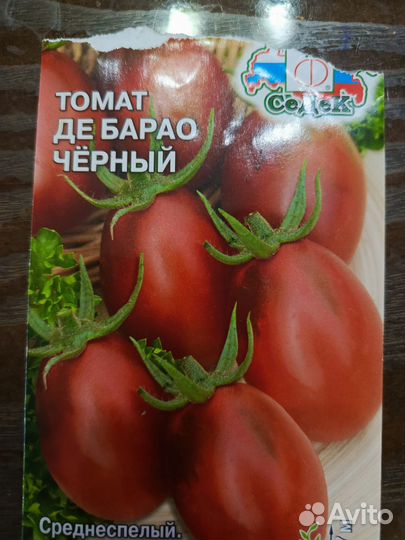 Рассада помидор, перцев, георгины (карликовой)
