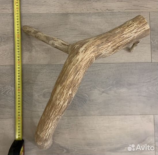 Коряги в аквариум/террариум, ракушечник