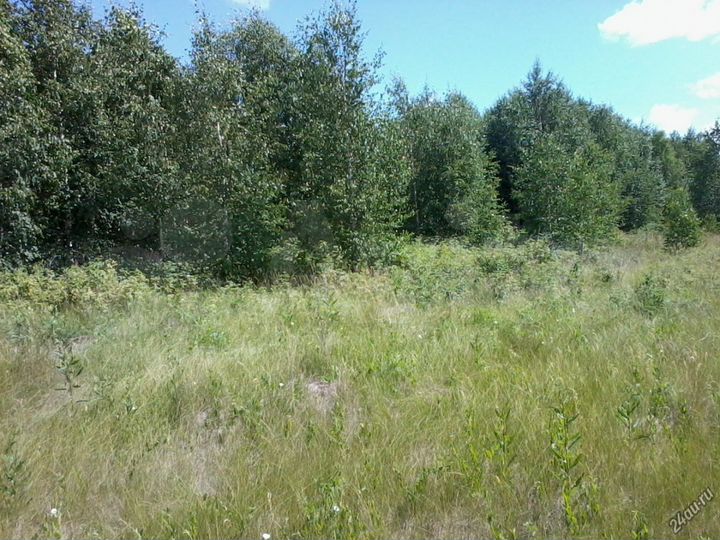 Участок 20 сот. (СНТ, ДНП)