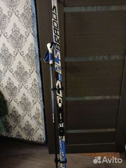 Беговые лыжи