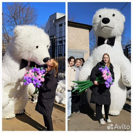 Поздравление от белого мишки