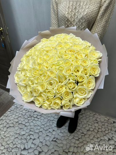 101 роза Букет Цветы