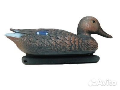 Чучело утки кряква черная - селезень