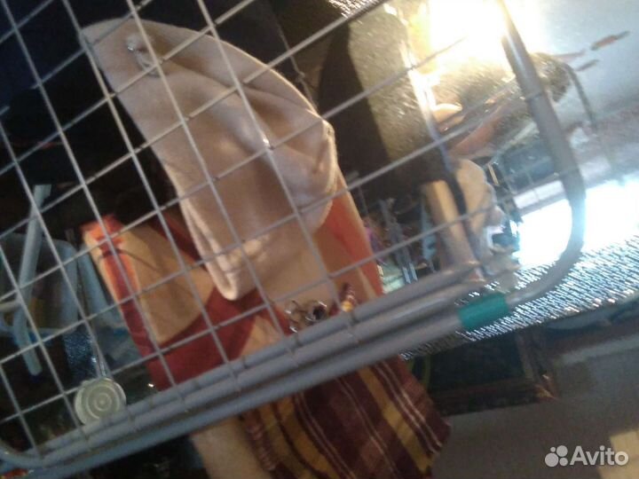 Сушилка для белья (до 30 кг)