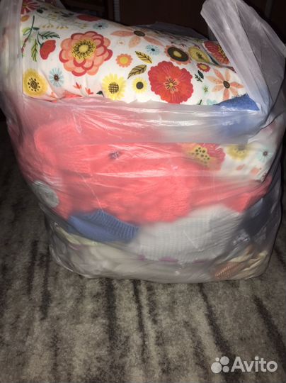 Коляска 2 в 1 adamex cortina