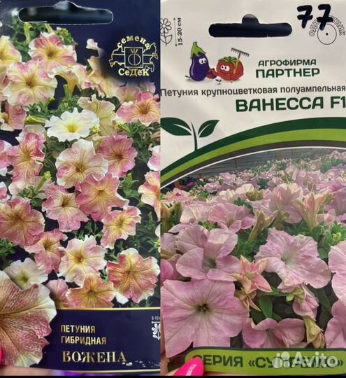 Рассада цветов