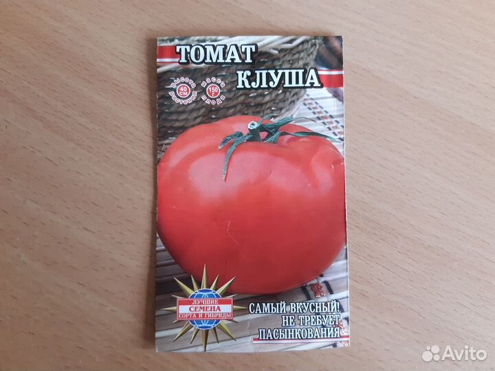 Рассада помидор, земляники, перца, голубики и др