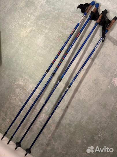 Трость для скандинавской ходьбы,треккинговые палки