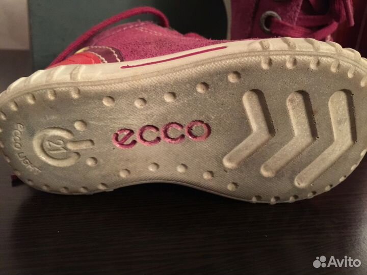 Ecco