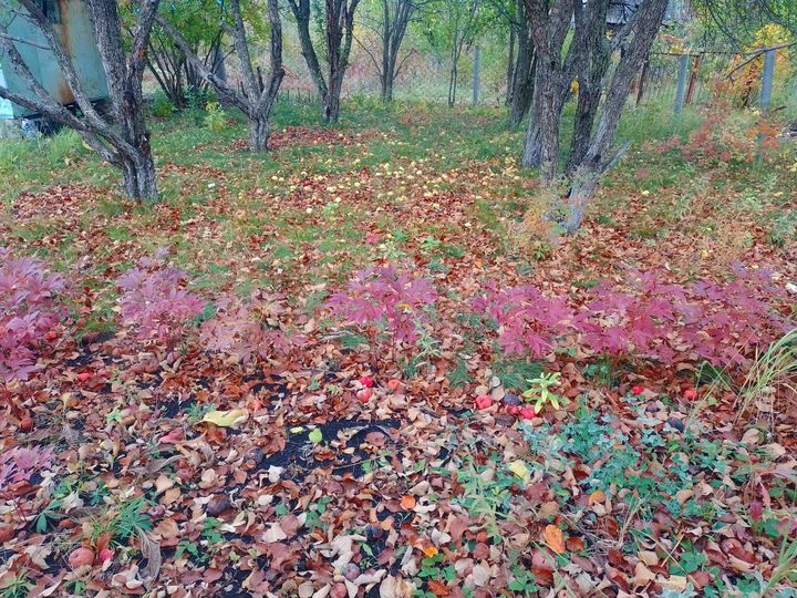 Дача 10 м² на участке 6 сот.