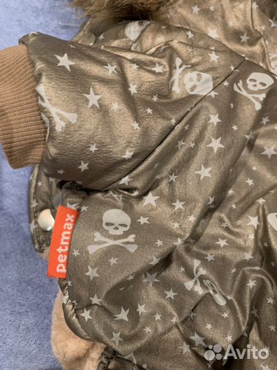 Одежда для собак