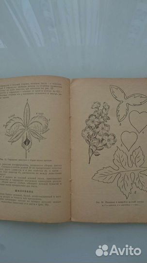 Книга искусство делать цветы