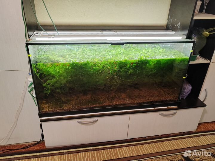 Аквариум с тумбой 390 литров