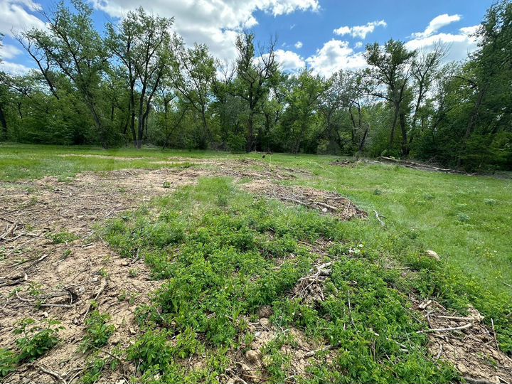 Участок 15 сот. (ИЖС)