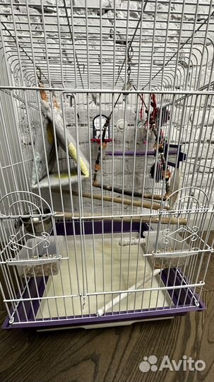 Клетка для попугая