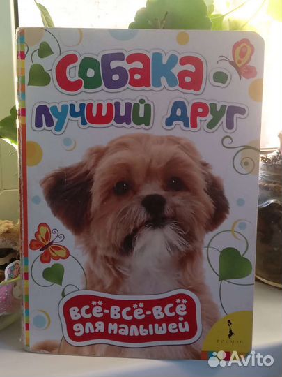 Детская книга про собак