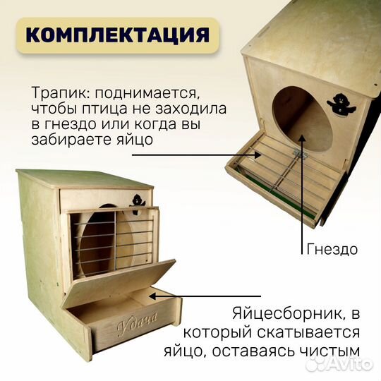 Гнездо для кур с яйцесборником. Комплект 4 шт