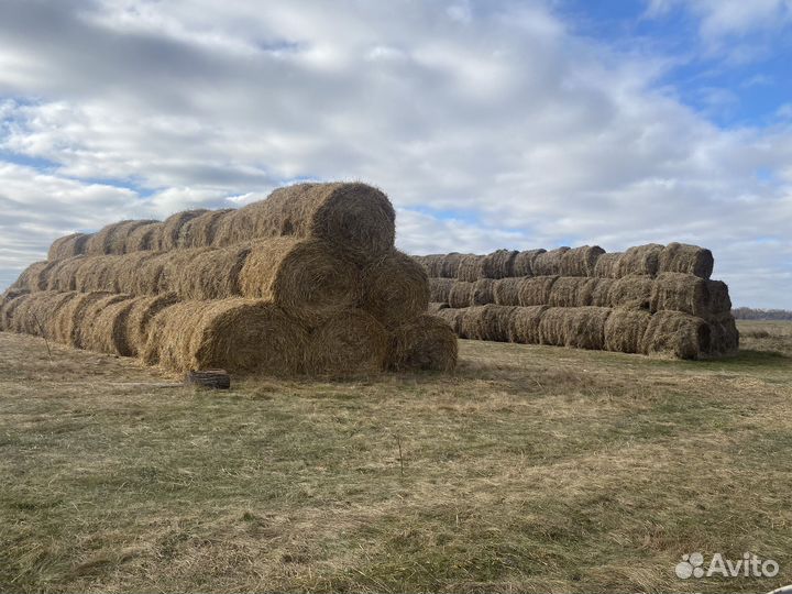 Солома в рулонах