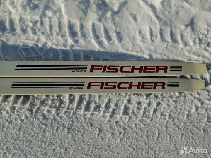 Беговые лыжи fischer